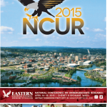 ncurflyer