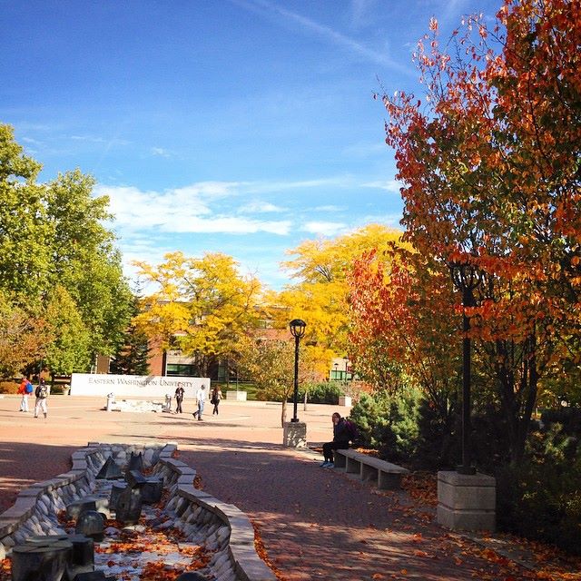 the mall during the fall