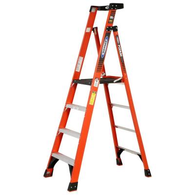 Werner Ladder