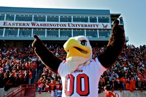 swoop in front of a full stadium