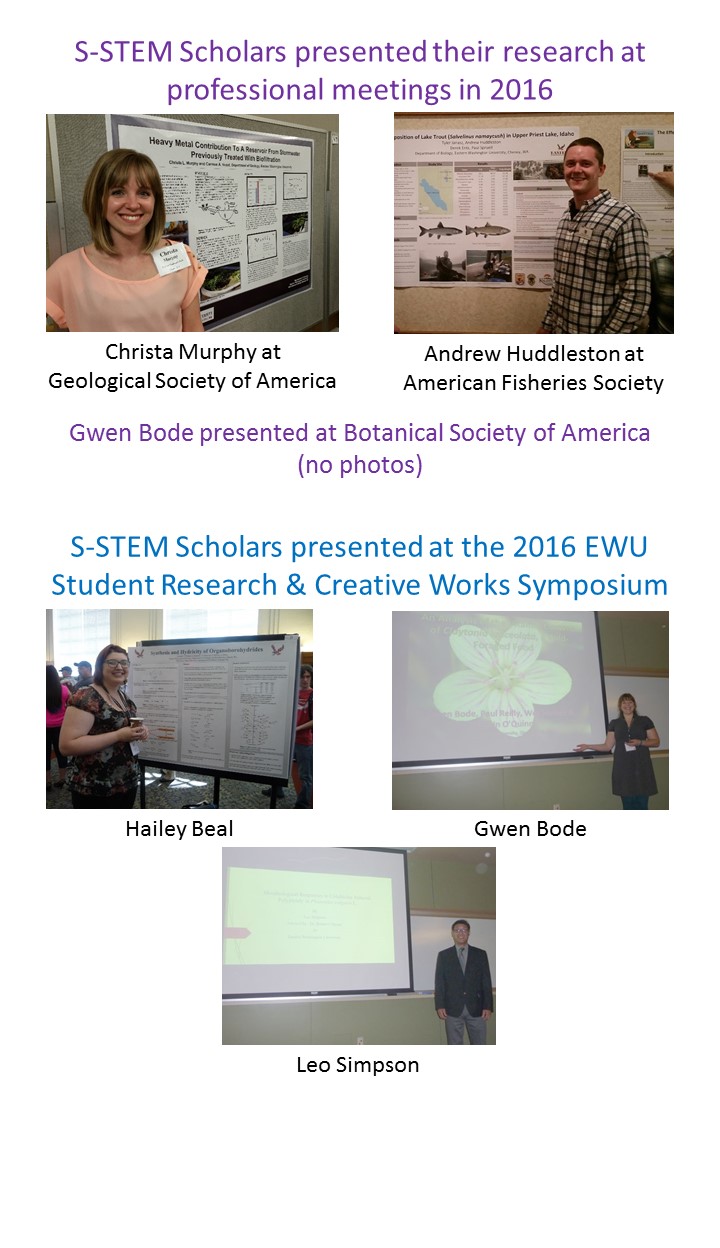 S-STEM Scholars presented their research at professional meetings in 2016
