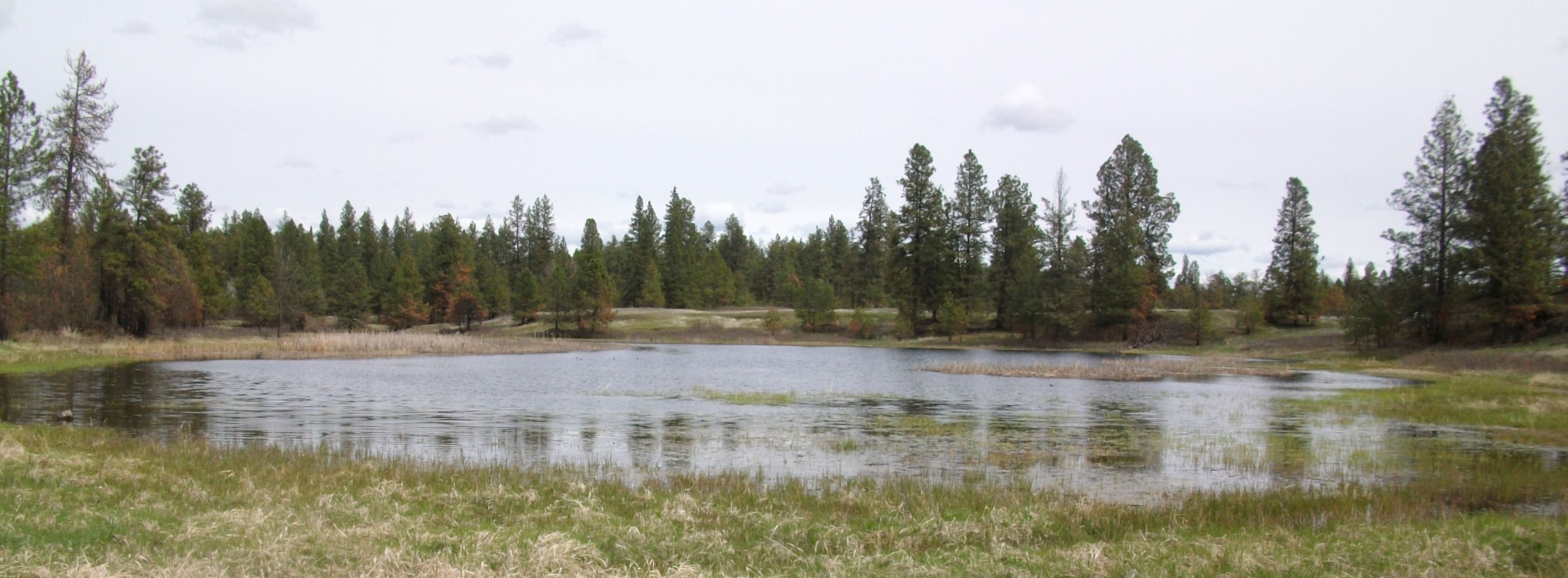 Wetland 83 at TNWR, one of Jade's sites 
 (Photo: Jade Clinkenbeard)