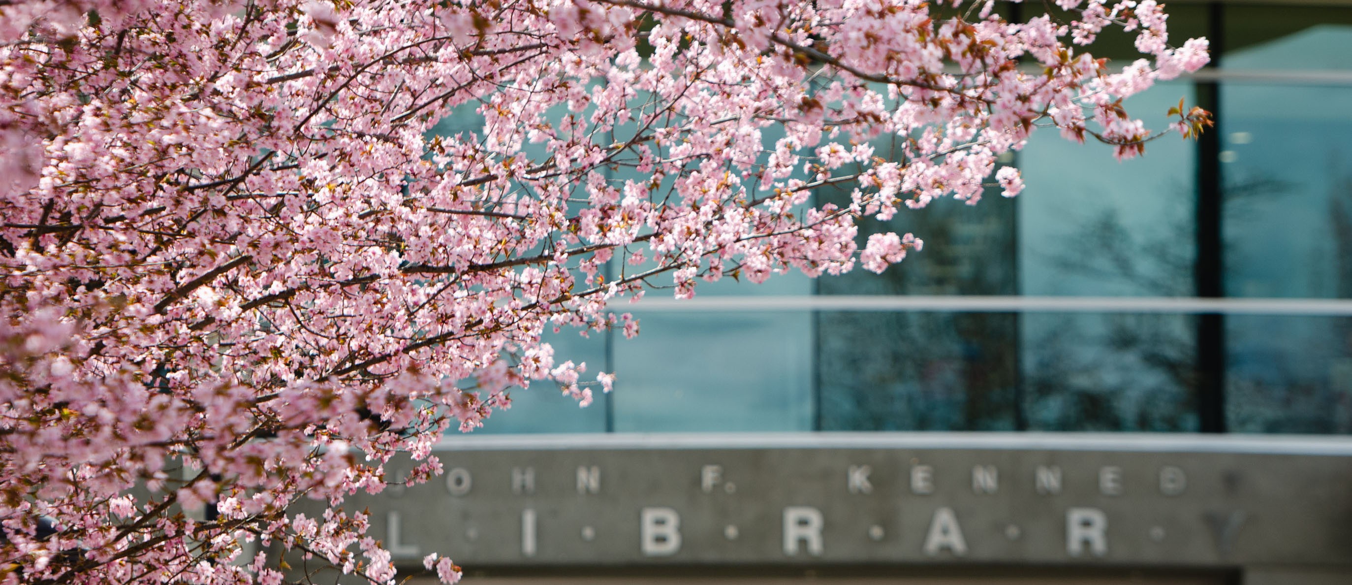 JFK Library Spring